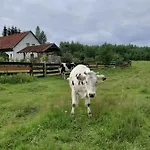 Alojamento de Turismo Rural Jablkowo-na Skraju Puszczy Boreckiej Sniadania W Cenie Jablonowo