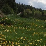 Jablkowo-na Skraju Puszczy Boreckiej Sniadania W Cenie Jablonowo