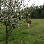 Jablkowo-na Skraju Puszczy Boreckiej Sniadania W Cenie Alojamento de Turismo Rural