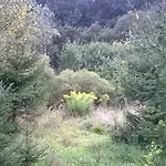 Alojamento de Turismo Rural Jablkowo-na Skraju Puszczy Boreckiej Sniadania W Cenie