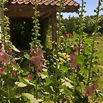 Farm stay Jablkowo-na Skraju Puszczy Boreckiej Sniadania W Cenie *
