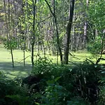 Jablkowo-na Skraju Puszczy Boreckiej Sniadania W Cenie Jablonowo