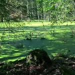 Farm stay Jablkowo-na Skraju Puszczy Boreckiej Sniadania W Cenie Jablonowo