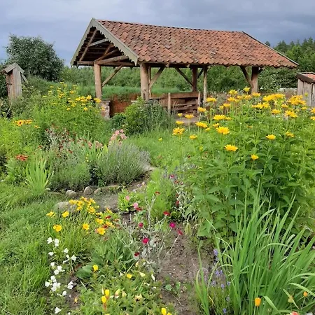 Agroturismo Jablkowo-na Skraju Puszczy Boreckiej Sniadania W Cenie Jablonowo