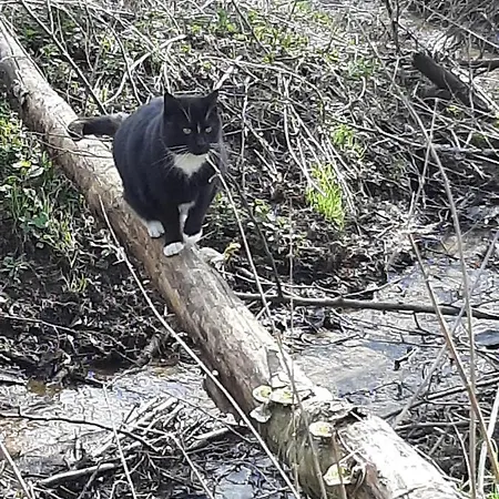 Jablkowo-na Skraju Puszczy Boreckiej Sniadania W Cenie Farm stay