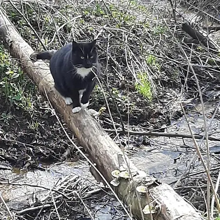 Jablkowo-na Skraju Puszczy Boreckiej Sniadania W Cenie Farm stay