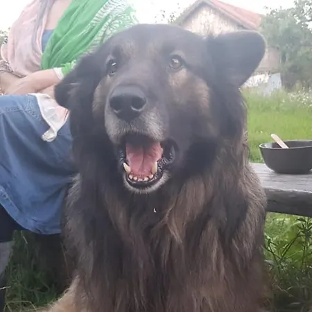 Agroturismo Jablkowo-na Skraju Puszczy Boreckiej Sniadania W Cenie Jablonowo