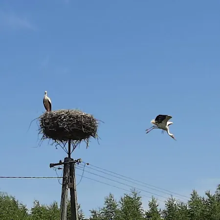 Jablkowo-na Skraju Puszczy Boreckiej Sniadania W Cenie * Jablonowo