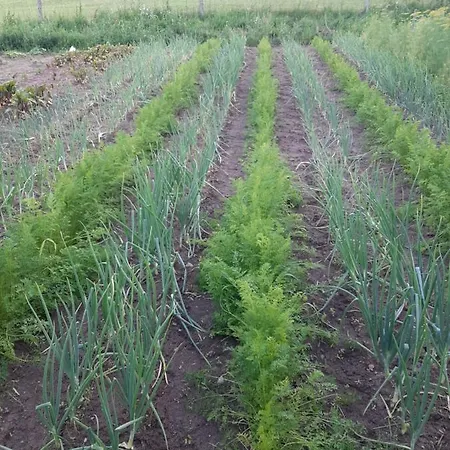 Jablkowo-na Skraju Puszczy Boreckiej Sniadania W Cenie Farm stay