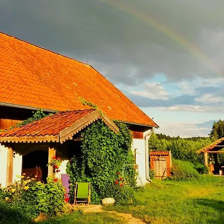 Jablkowo-na Skraju Puszczy Boreckiej Sniadania W Cenie Jablonowo