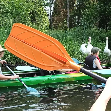 Jablkowo-na Skraju Puszczy Boreckiej Sniadania W Cenie * Jablonowo