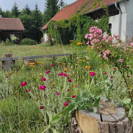 Jablkowo-na Skraju Puszczy Boreckiej Sniadania W Cenie Jablonowo