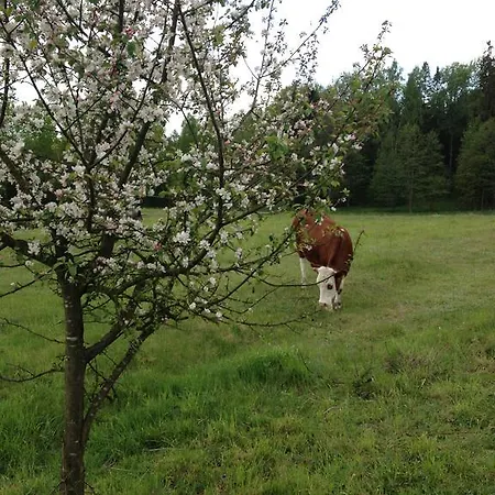 Jablkowo-na Skraju Puszczy Boreckiej Sniadania W Cenie Farm stay