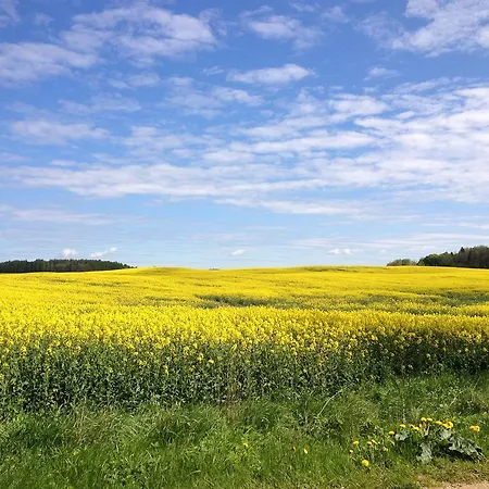 Agroturismo Jablkowo-na Skraju Puszczy Boreckiej Sniadania W Cenie