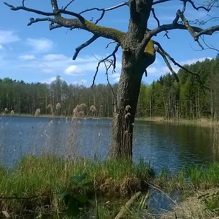 Jablkowo-na Skraju Puszczy Boreckiej Sniadania W Cenie *