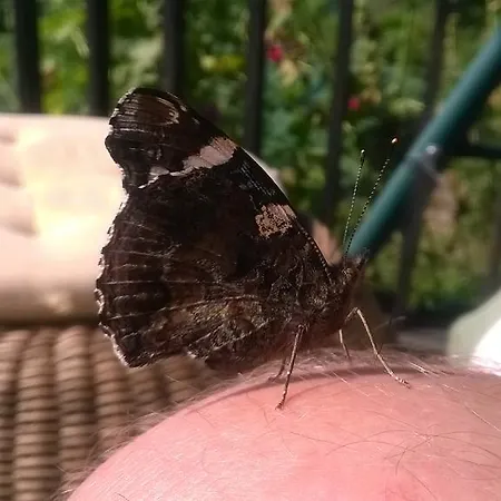 Jablkowo-na Skraju Puszczy Boreckiej Sniadania W Cenie