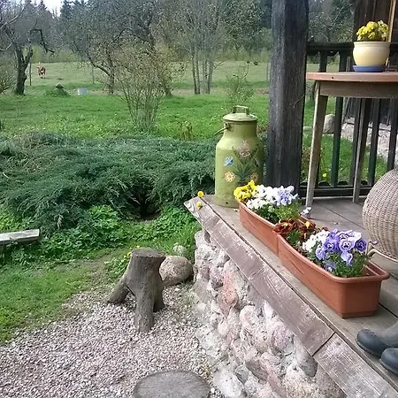 Jablkowo-na Skraju Puszczy Boreckiej Sniadania W Cenie *