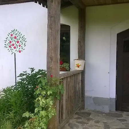 Jablkowo-na Skraju Puszczy Boreckiej Sniadania W Cenie