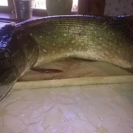 Jablkowo-na Skraju Puszczy Boreckiej Sniadania W Cenie