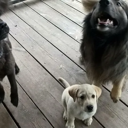 Agroturismo Jablkowo-na Skraju Puszczy Boreckiej Sniadania W Cenie Jablonowo