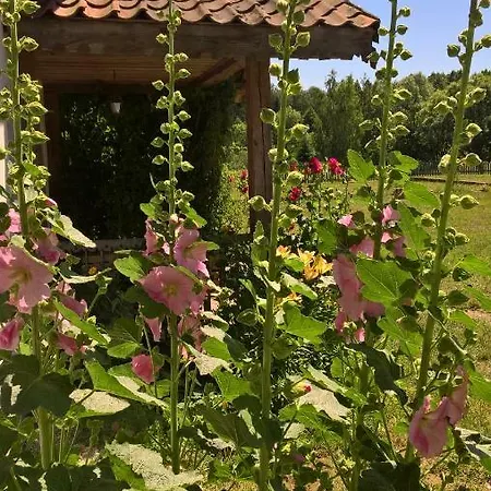 Gospodarstwo agroturystyczne Jabłkowo- Na Skraju Puszczy Boreckiej *