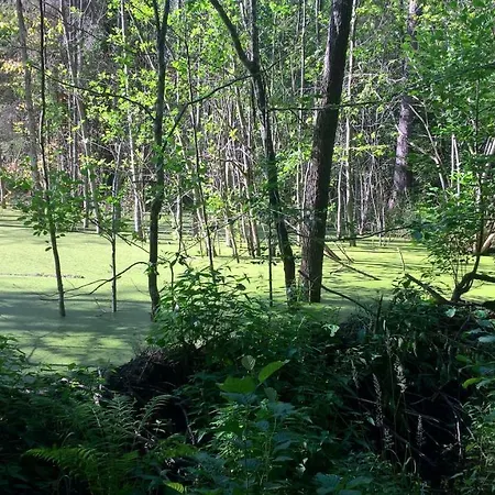 Jabłkowo- Na Skraju Puszczy Boreckiej Jablonowo