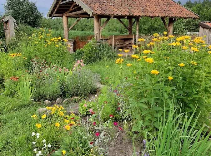 Farm stay Jablkowo-na Skraju Puszczy Boreckiej Sniadania W Cenie Jablonowo