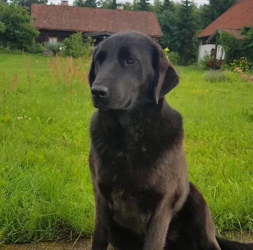 Jablkowo-na Skraju Puszczy Boreckiej Sniadania W Cenie Jablonowo