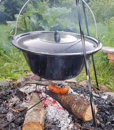 Jablkowo-na Skraju Puszczy Boreckiej Sniadania W Cenie Farm stay Jablonowo