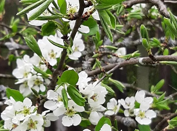 Jablkowo-na Skraju Puszczy Boreckiej Sniadania W Cenie *