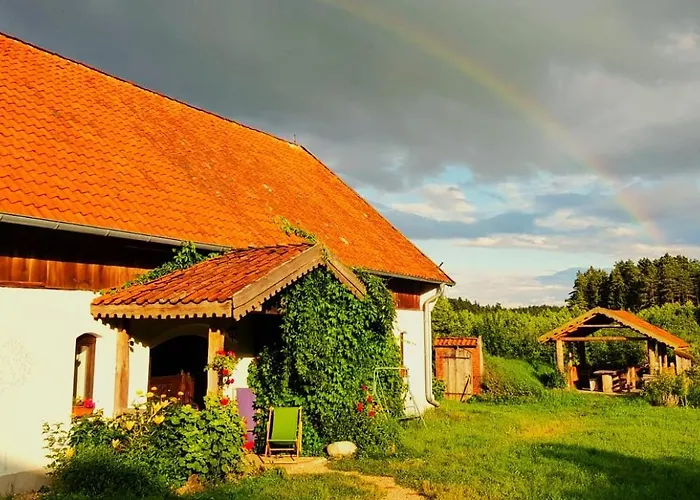 Jablkowo-na Skraju Puszczy Boreckiej Sniadania W Cenie Jablonowo