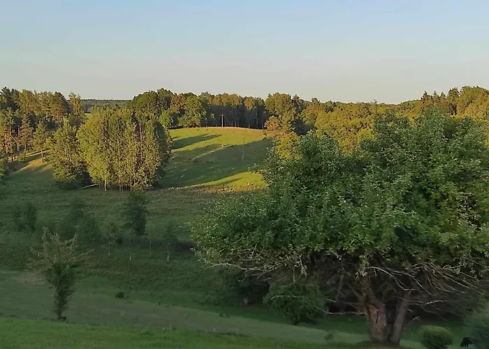 Jablkowo-na Skraju Puszczy Boreckiej Sniadania W Cenie