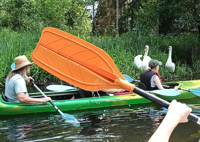 Jablkowo-na Skraju Puszczy Boreckiej Sniadania W Cenie * Jablonowo