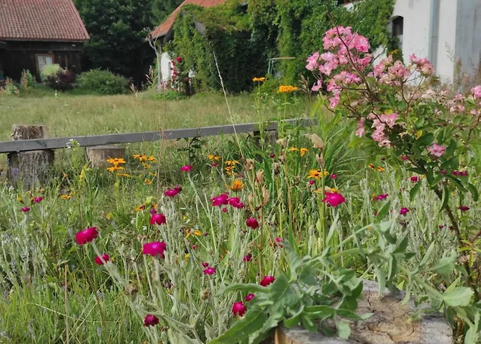 Jablkowo-na Skraju Puszczy Boreckiej Sniadania W Cenie Jablonowo