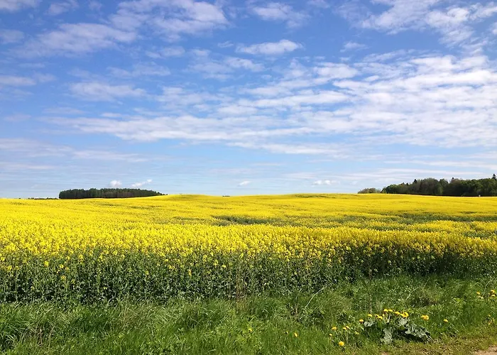 Farm stay Jablkowo-na Skraju Puszczy Boreckiej Sniadania W Cenie