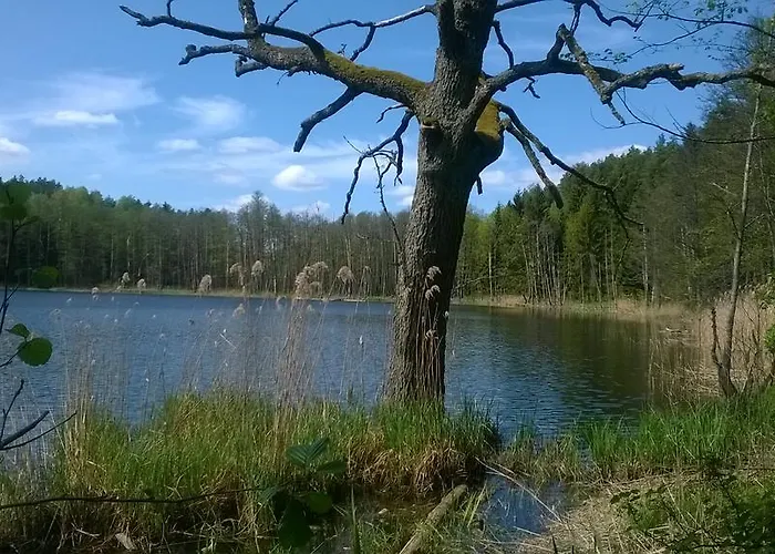 Jablkowo-na Skraju Puszczy Boreckiej Sniadania W Cenie *