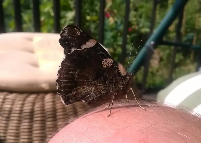 Jablkowo-na Skraju Puszczy Boreckiej Sniadania W Cenie