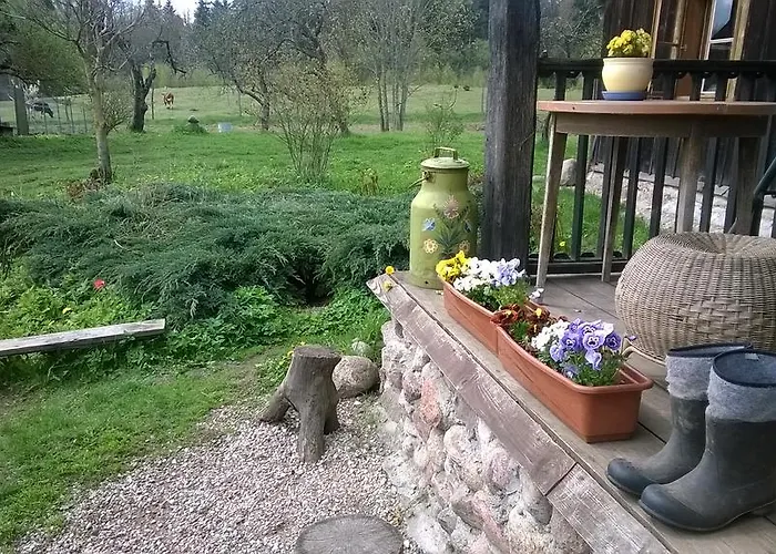 Jablkowo-na Skraju Puszczy Boreckiej Sniadania W Cenie *