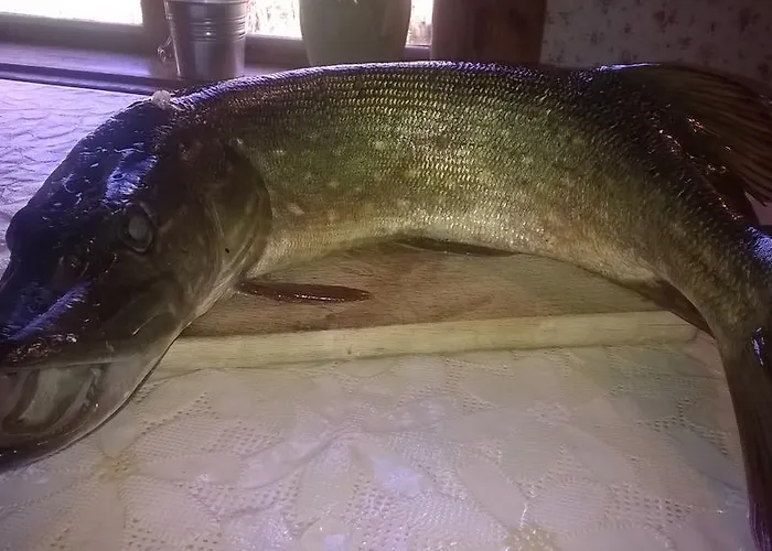 Jablkowo-na Skraju Puszczy Boreckiej Sniadania W Cenie