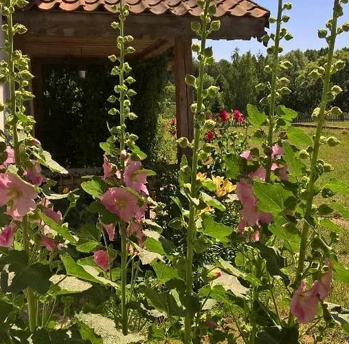 Farm stay Jablkowo-na Skraju Puszczy Boreckiej Sniadania W Cenie *