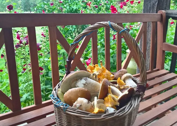 Jablkowo-na Skraju Puszczy Boreckiej Sniadania W Cenie * Jablonowo